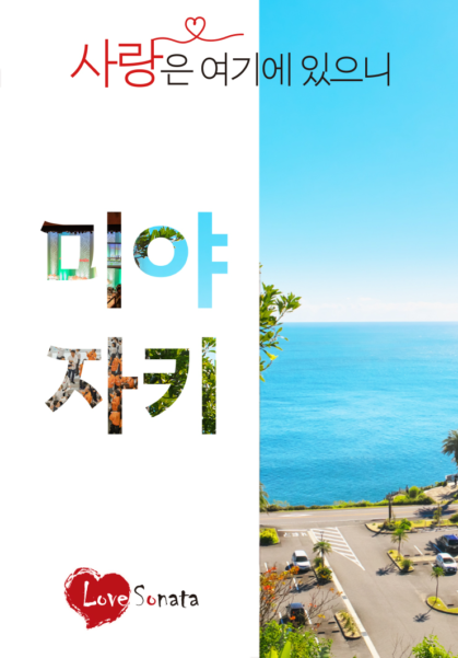미야자키 러브소나타