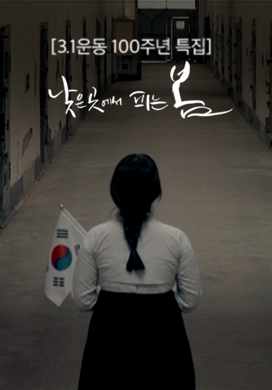 [3.1운동&nbsp;100주년&nbsp;특집]&nbsp;낮은&nbsp;곳에서&nbsp;피는&nbsp;봄