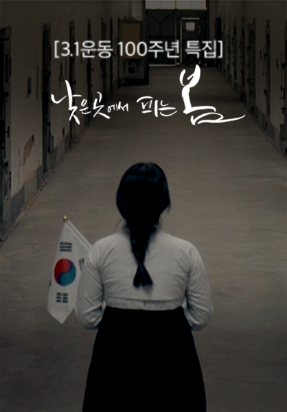 [3.1운동&nbsp;100주년&nbsp;특집]&nbsp;낮은&nbsp;곳에서&nbsp;피는&nbsp;봄