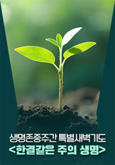 생명존중주간 특별새벽기도 <한결같은 주의 생명>