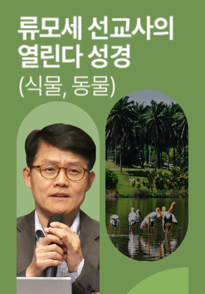 류모세 선교사의 열린다 성경 - 식물, 동물 편