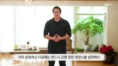 8편 주먹 앞으로 펀치, 펀치하며 크로스 발차기, 복싱 자세 좌.우 흔들기
