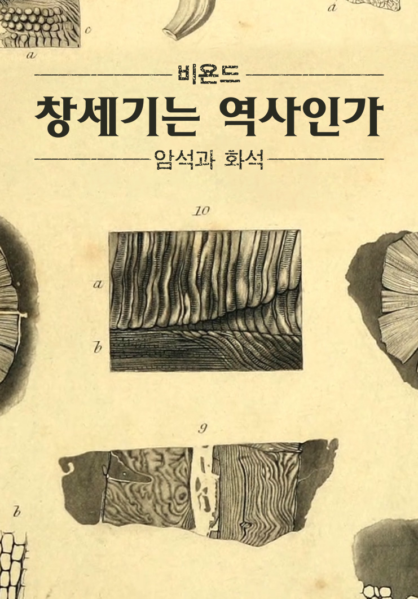 비욘드: 창세기는 역사인가 - 암석과 화석
