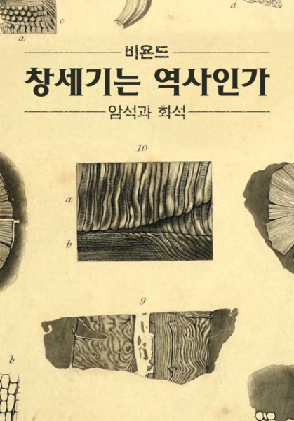 비욘드: 창세기는 역사인가 - 암석과 화석