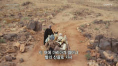 1편 누가복음 1장 1절~55절