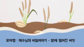 26편 예수님의 비밀 이야기 - 땅에 떨어진 씨앗