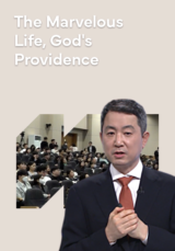 The Marvelous Life, God's Providence