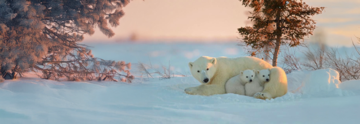 비욘드: 창세기는 역사인가 - 생명과 설계