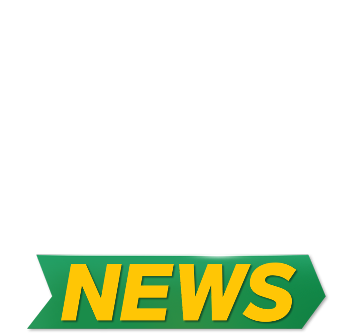 월드뉴스(World News)