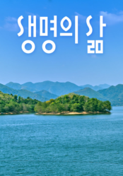 [큐티] 생명의 삶
