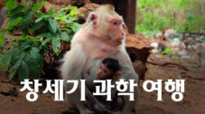 창세기 과학 여행