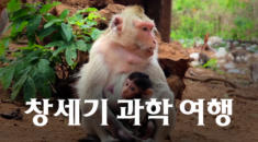 창세기 과학 여행