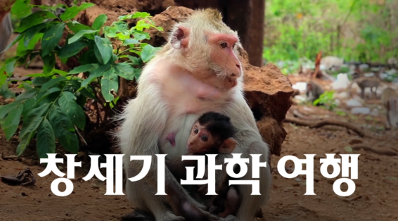 창세기 과학 여행