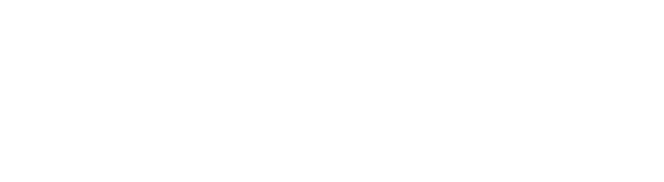 sorinamoo 송정미 콘서트
