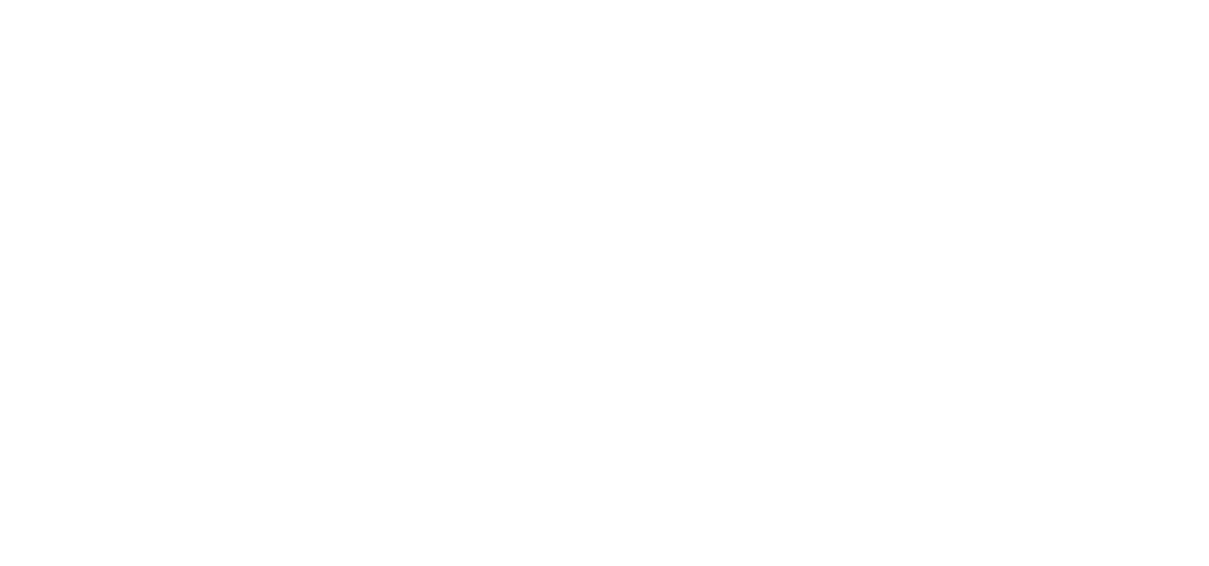 시크릿 에이전트 라이언