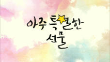 아주 특별한 선물