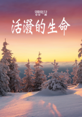 [QT] 活泼的生命/活潑的生命 생명의 삶