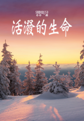 [QT] 活泼的生命/活潑的生命 생명의 삶