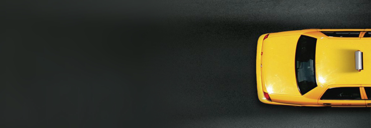 [영화] 더 라이드