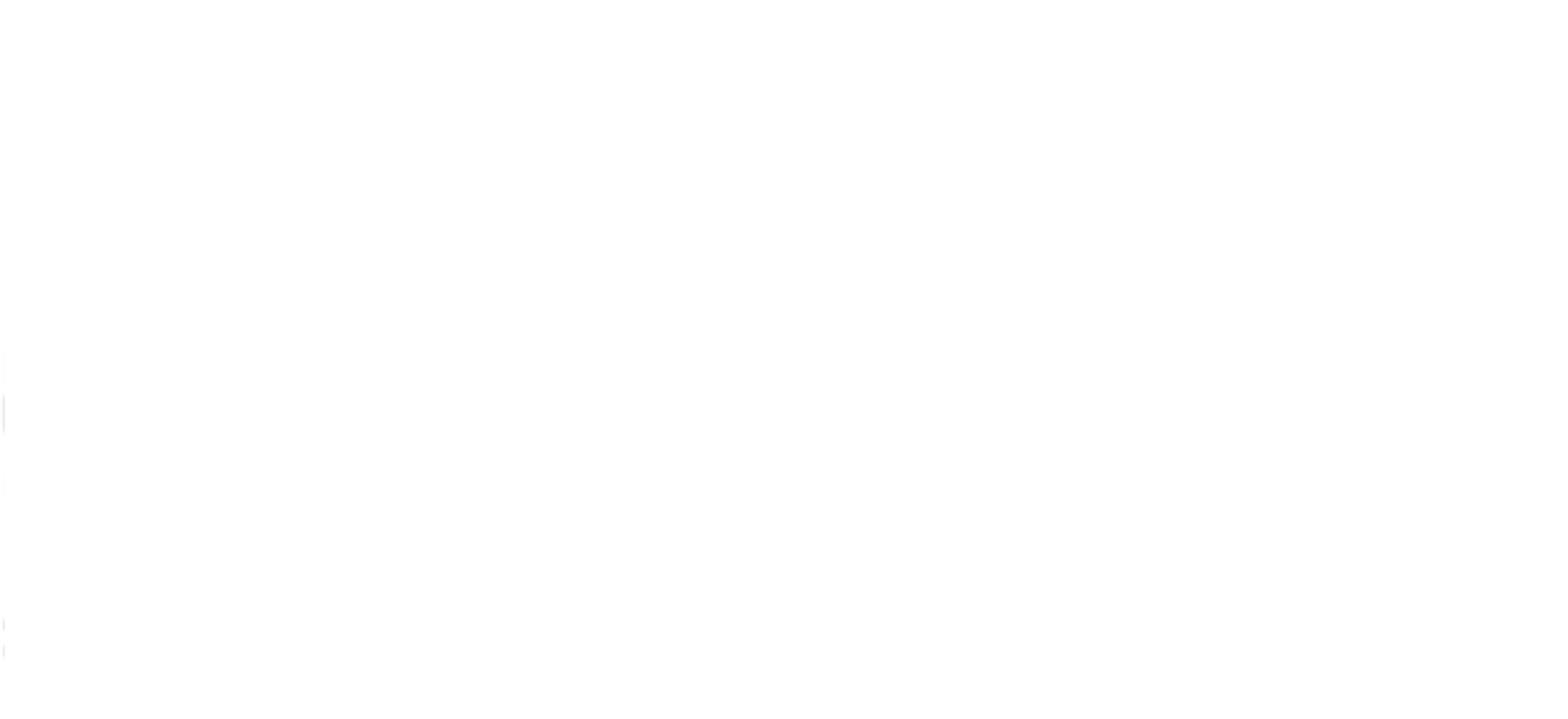 sorinamoo 송정미 콘서트