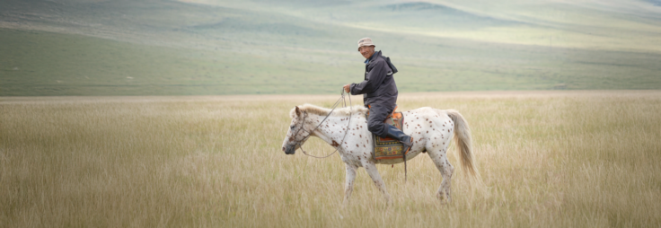 투 헤븐 - 죽음을 넘어 천국으로 향하는 부활의 증인과 동행하는 사람들
