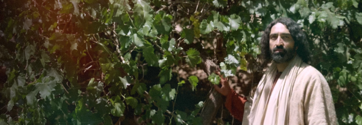 바이블 필름 <요한복음>