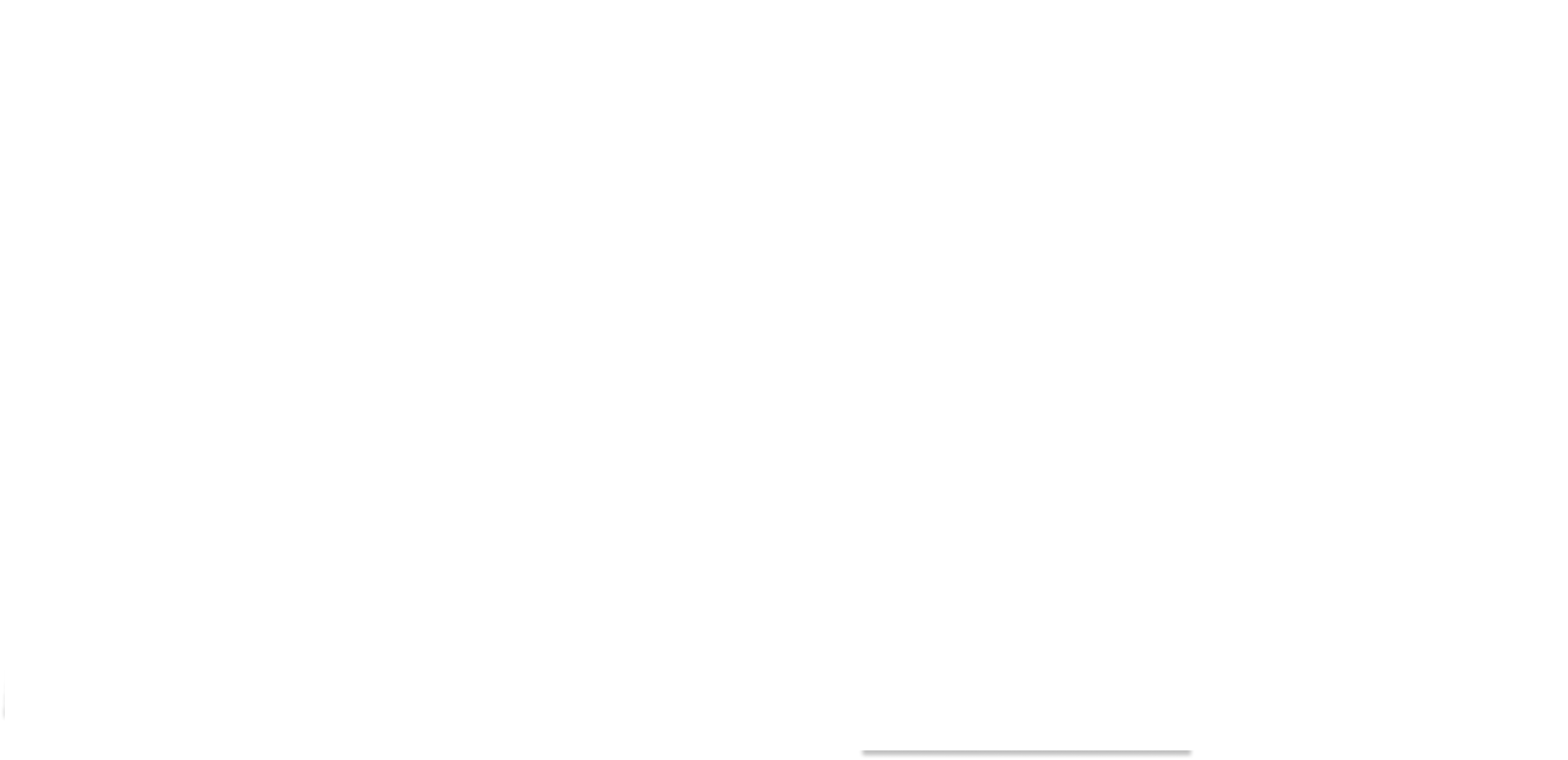시크릿 에이전트 라이언