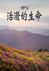 [QT] 活泼的生命/活潑的生命 생명의 삶