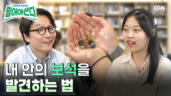 8편 냉정과 열정사이