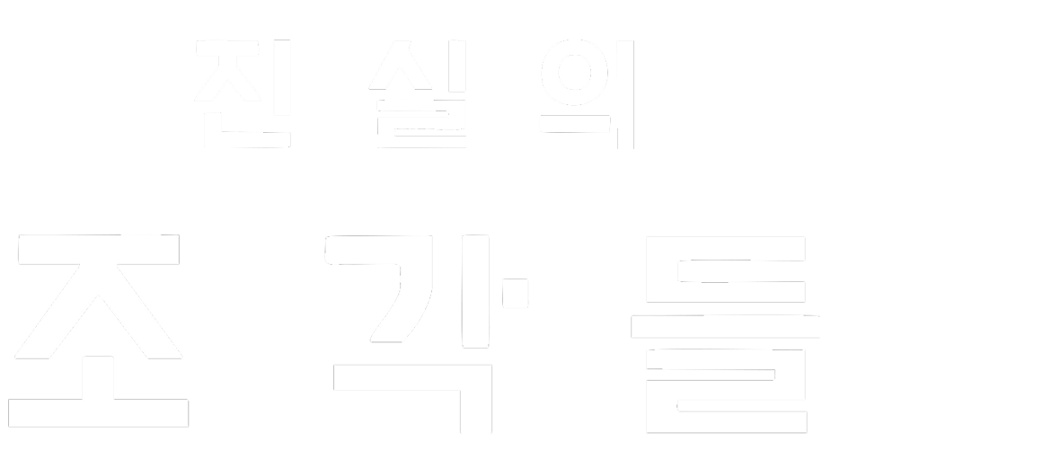 진실의 조각들