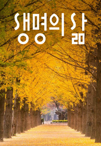 [큐티] 생명의 삶