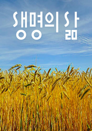 [큐티] 생명의 삶